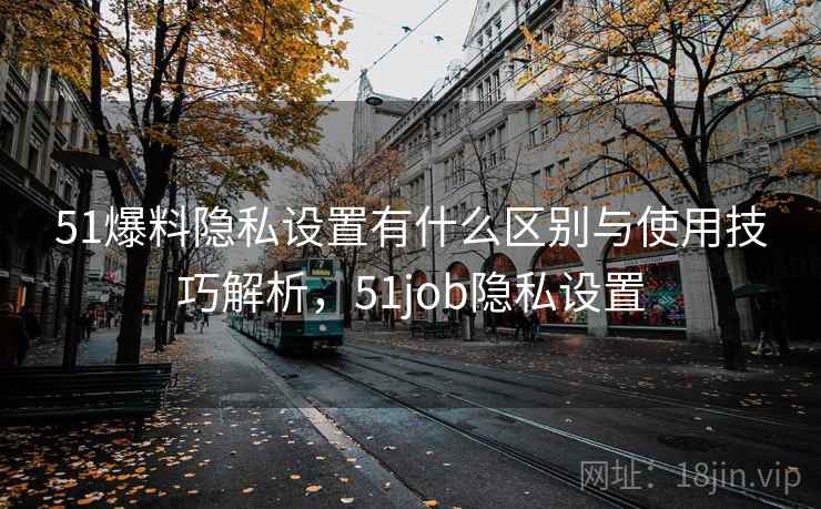 51爆料隐私设置有什么区别与使用技巧解析，51job隐私设置