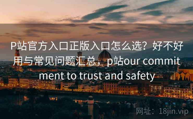 P站官方入口正版入口怎么选？好不好用与常见问题汇总，p站our commitment to trust and safety