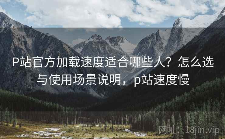 P站官方加载速度适合哪些人？怎么选与使用场景说明，p站速度慢