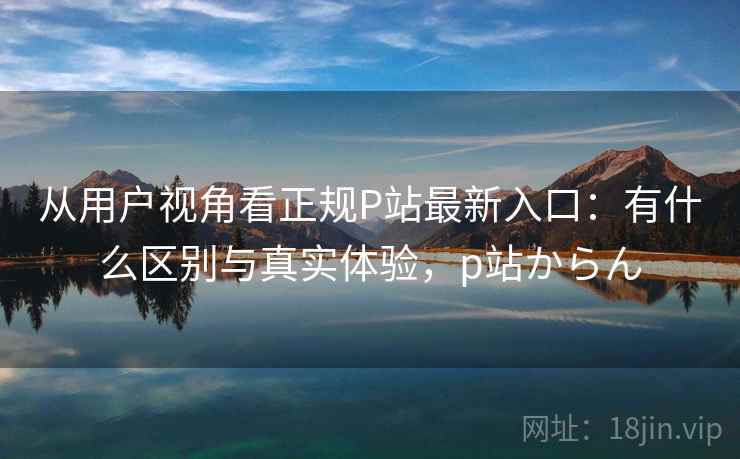 从用户视角看正规P站最新入口：有什么区别与真实体验，p站からん