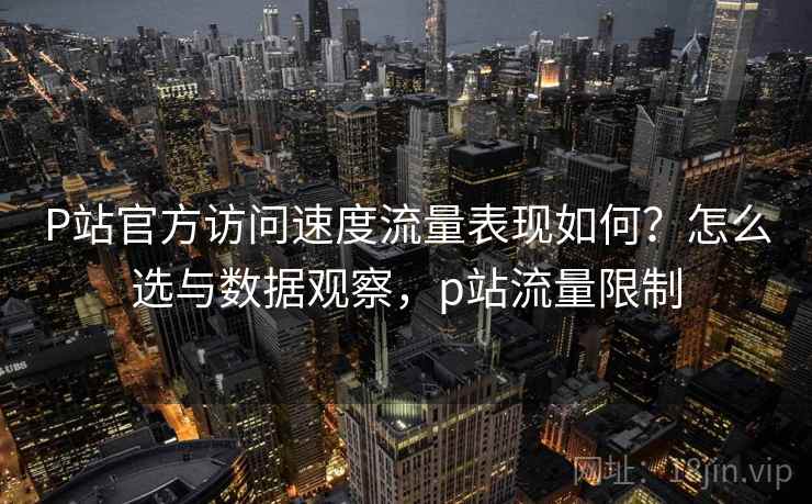 P站官方访问速度流量表现如何？怎么选与数据观察，p站流量限制