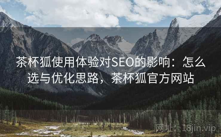 茶杯狐使用体验对SEO的影响：怎么选与优化思路，茶杯狐官方网站
