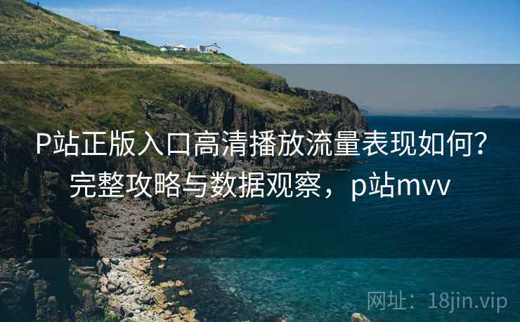 P站正版入口高清播放流量表现如何？完整攻略与数据观察，p站mvv