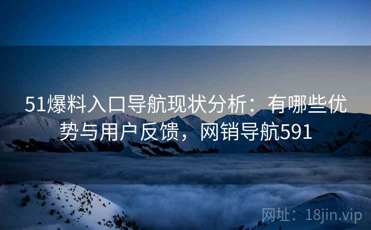 51爆料入口导航现状分析：有哪些优势与用户反馈，网销导航591
