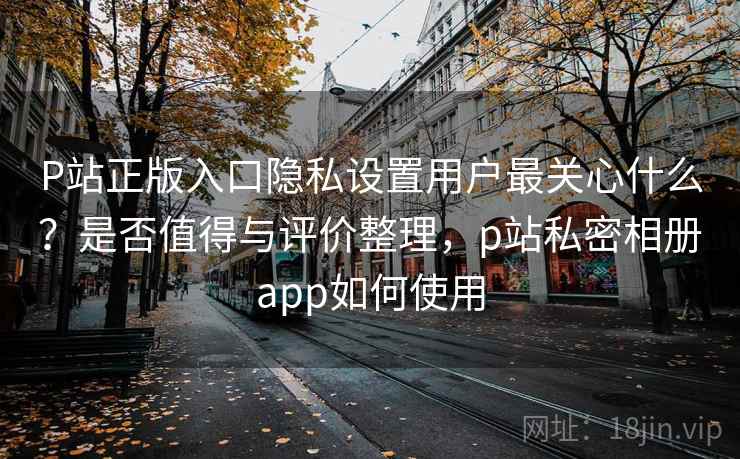 P站正版入口隐私设置用户最关心什么？是否值得与评价整理，p站私密相册app如何使用