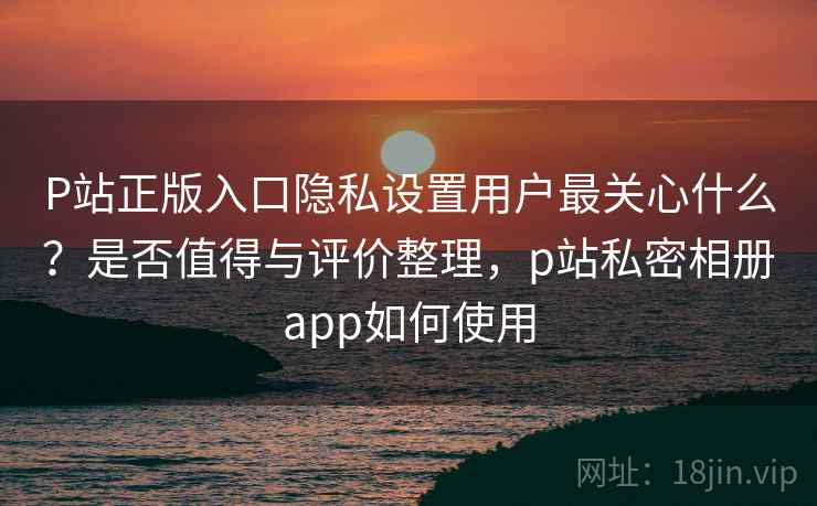 P站正版入口隐私设置用户最关心什么？是否值得与评价整理，p站私密相册app如何使用
