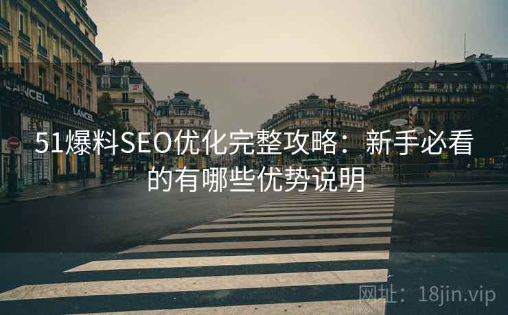 51爆料SEO优化完整攻略：新手必看的有哪些优势说明