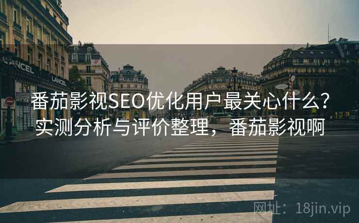 番茄影视SEO优化用户最关心什么?实测分析与评价整理,番茄影视啊 番茄影视SEO优化用户最关心什么?实测分析与评价整理,番茄影视啊