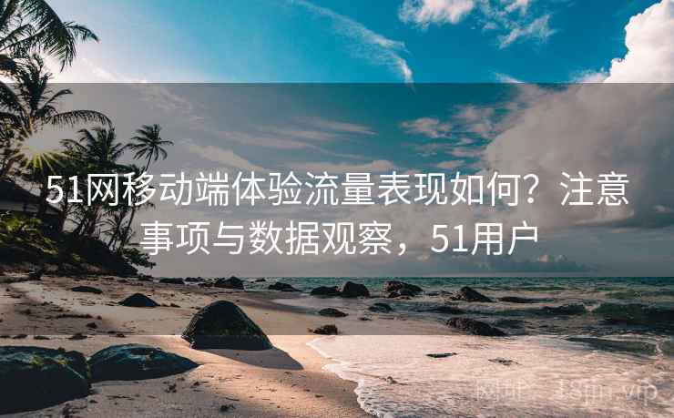 51网移动端体验流量表现如何?注意事项与数据观察,51用户 51网移动端体验流量表现如何?注意事项与数据观察,51用户