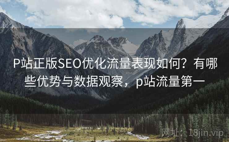 P站正版SEO优化流量表现如何？有哪些优势与数据观察，p站流量第一