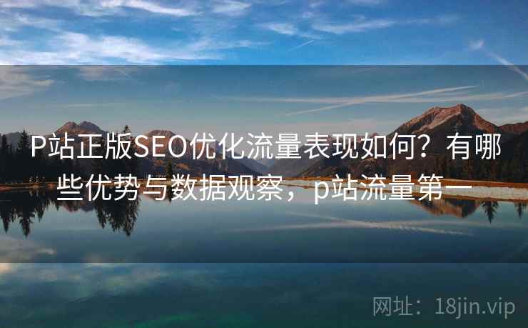 P站正版SEO优化流量表现如何？有哪些优势与数据观察，p站流量第一