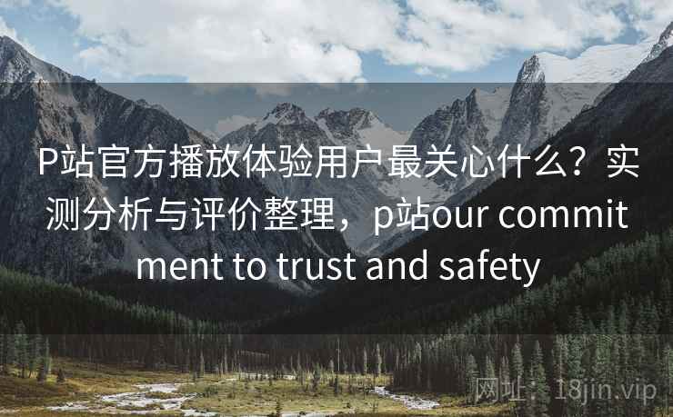 P站官方播放体验用户最关心什么？实测分析与评价整理，p站our commitment to trust and safety