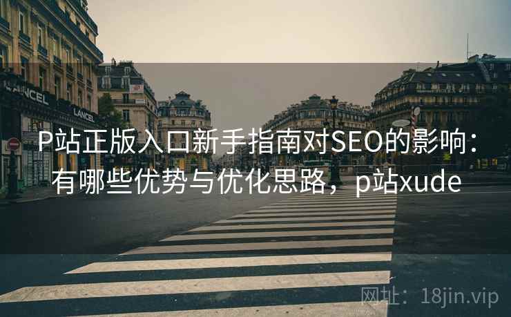 P站正版入口新手指南对SEO的影响：有哪些优势与优化思路，p站xude