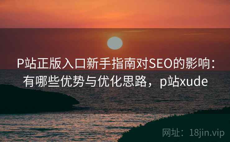 P站正版入口新手指南对SEO的影响：有哪些优势与优化思路，p站xude
