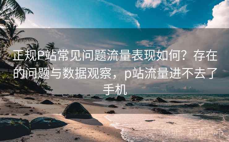 正规P站常见问题流量表现如何？存在的问题与数据观察，p站流量进不去了手机