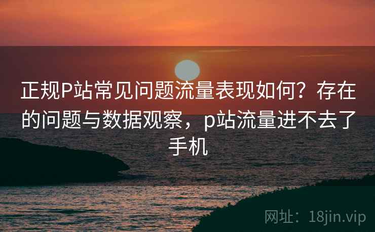 正规P站常见问题流量表现如何？存在的问题与数据观察，p站流量进不去了手机