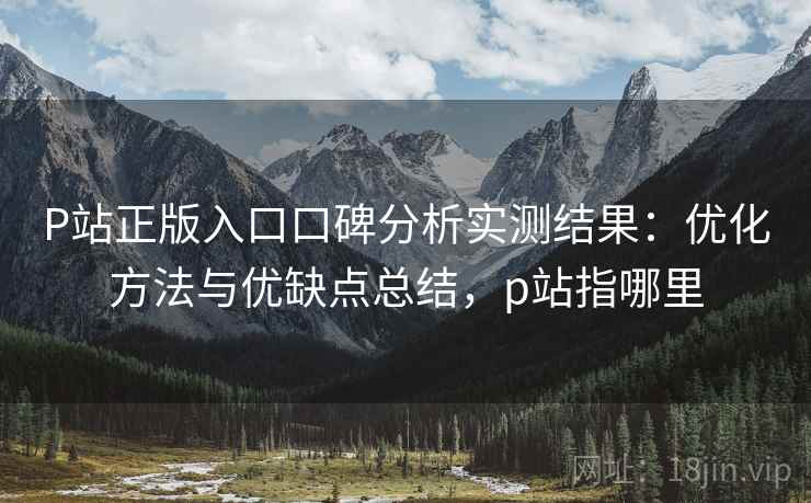 P站正版入口口碑分析实测结果：优化方法与优缺点总结，p站指哪里