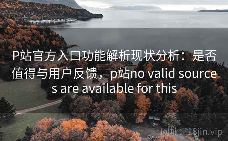 P站官方入口功能解析现状分析：是否值得与用户反馈，p站no valid sources are available for this