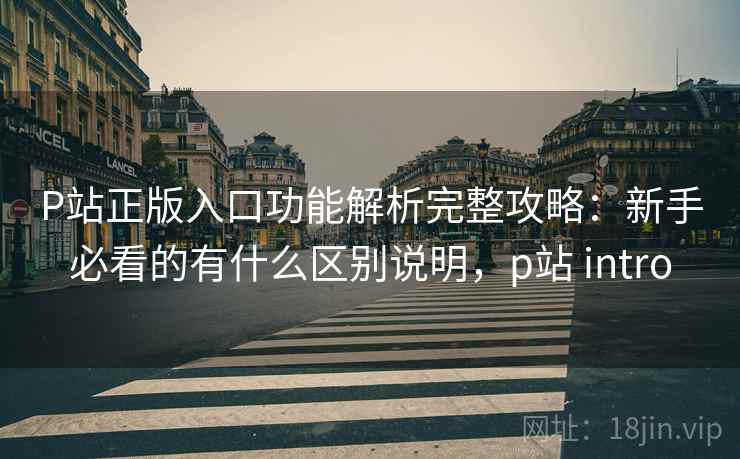 P站正版入口功能解析完整攻略：新手必看的有什么区别说明，p站 intro