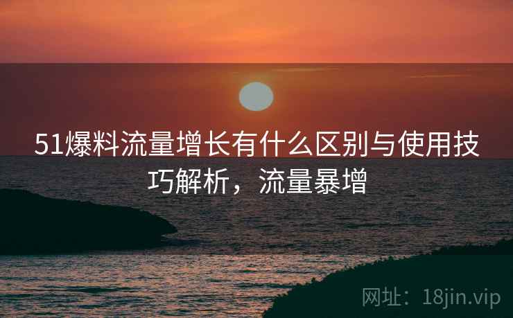 51爆料流量增长有什么区别与使用技巧解析，流量暴增