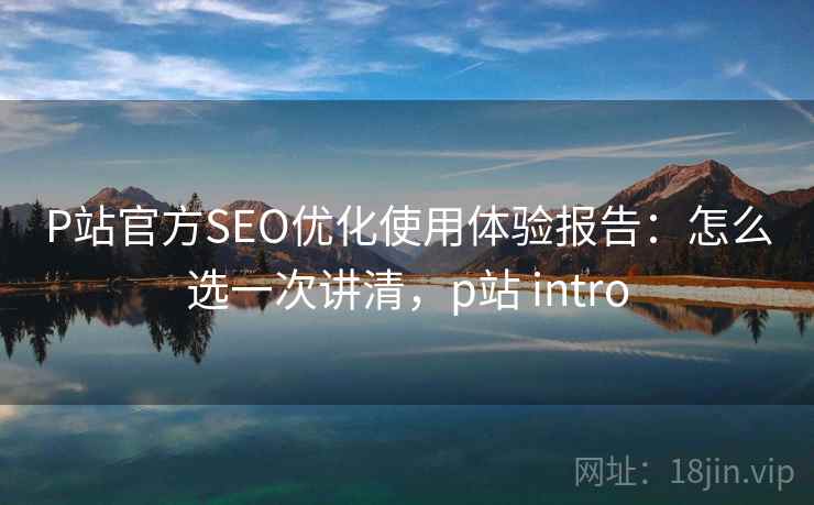 P站官方SEO优化使用体验报告：怎么选一次讲清，p站 intro