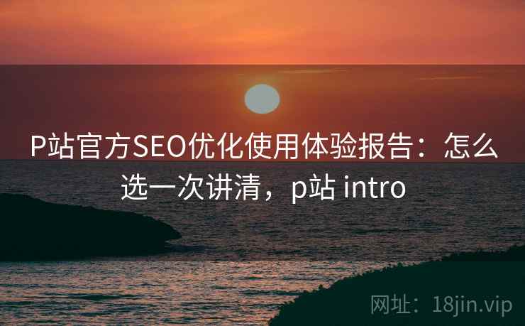 P站官方SEO优化使用体验报告：怎么选一次讲清，p站 intro