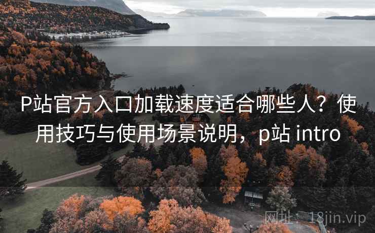 P站官方入口加载速度适合哪些人？使用技巧与使用场景说明，p站 intro