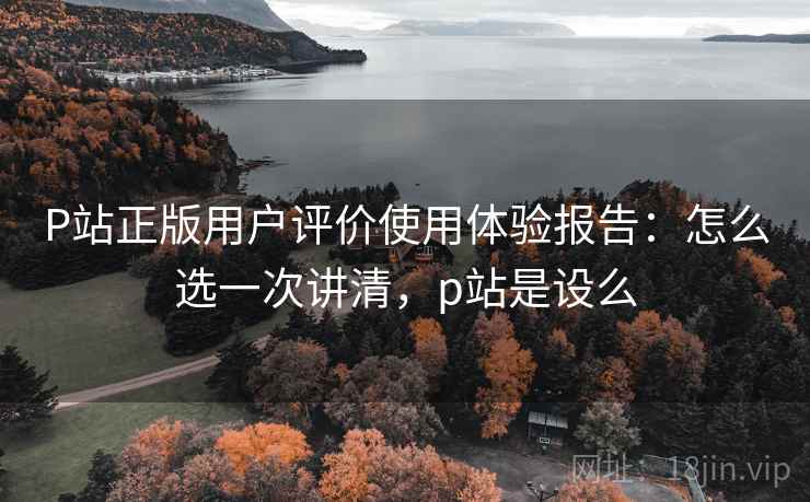 P站正版用户评价使用体验报告：怎么选一次讲清，p站是设么