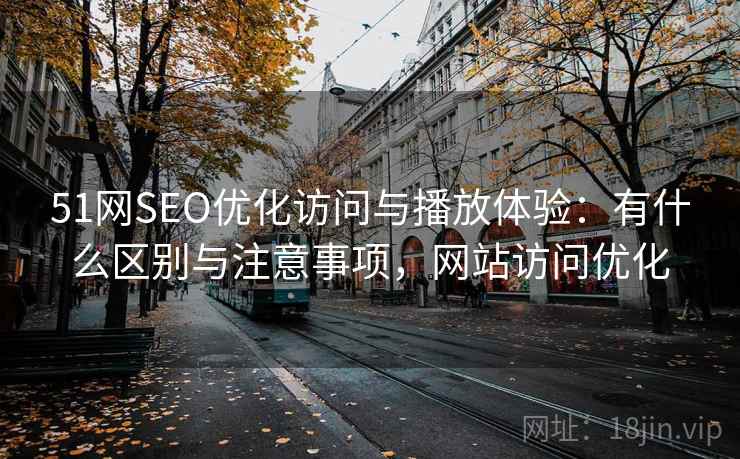 51网SEO优化访问与播放体验：有什么区别与注意事项，网站访问优化