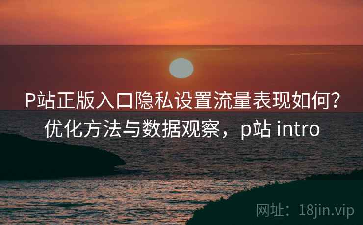 P站正版入口隐私设置流量表现如何？优化方法与数据观察，p站 intro