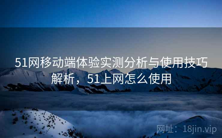 51网移动端体验实测分析与使用技巧解析，51上网怎么使用