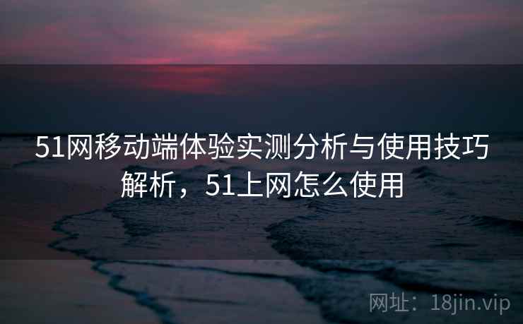 51网移动端体验实测分析与使用技巧解析，51上网怎么使用