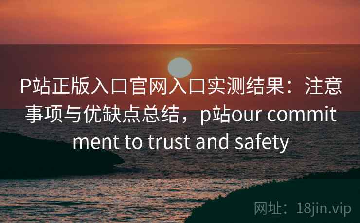 P站正版入口官网入口实测结果：注意事项与优缺点总结，p站our commitment to trust and safety