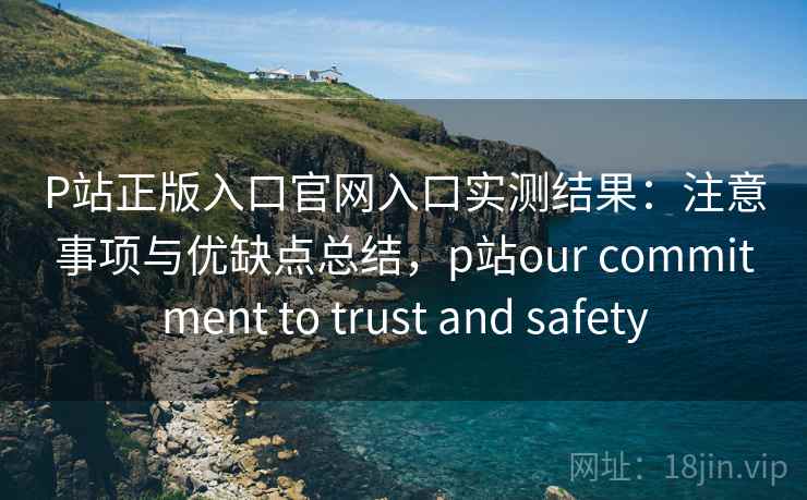 P站正版入口官网入口实测结果：注意事项与优缺点总结，p站our commitment to trust and safety