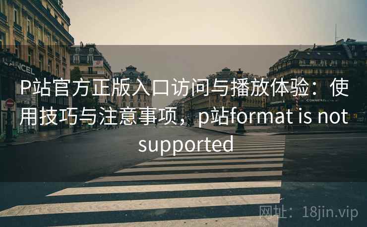 P站官方正版入口访问与播放体验：使用技巧与注意事项，p站format is not supported