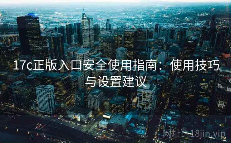 17c正版入口安全使用指南：使用技巧与设置建议
