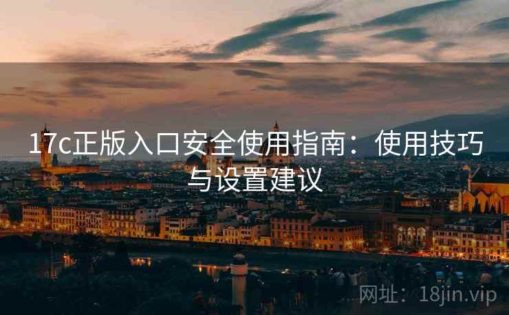 17c正版入口安全使用指南：使用技巧与设置建议